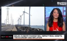 Саира Малик от Nuveen за ВЕИ, част 1