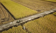 Китай планира "смели стъпки" за защита на икономиката