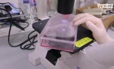 Може ли различна диета да препрограмира вашата ДНК, част 5