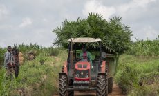 Африка се нуждае от 424 млрд. долара, за да се възстанови от опустошителната пандемия