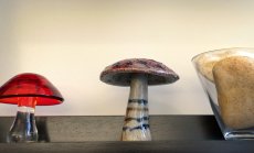 Австралийският експеримент с психеделици като лекарства