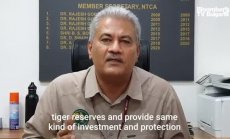 Тигрите имат голямо значение за развитието на индийската икономика