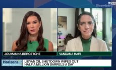 Вандана Хари: Пазарът следи забавеното търсене