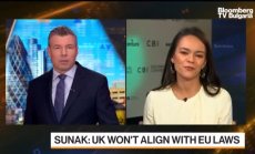Сунак: Великобритания няма да се съобрази със законите на ЕС след Брекзит