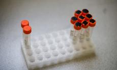 Коронавирусът у нас: 2569 са новите случаи при направени 11226 теста