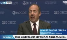 Перейра каза, че ЕЦБ трябва да си остави място за маневри