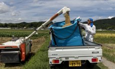 САЩ заплашиха да увеличат митата за Япония