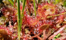 В(л)ажни зони за милиони