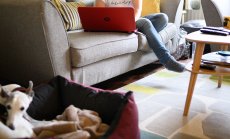 От главен хибриден директор до отглеждане на деца - работните тенденции за 2024