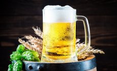 Путин предава контрола върху руското подразделение на InBev Efes на местна група