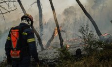 Със сегашния темп светът върви към затопляне от 3,1°C