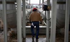 САЩ обмислят попълване на стратегическите петролни запаси при 80 долара за барел 