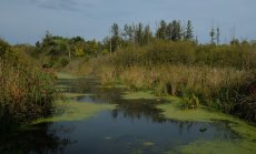 Европа все още не е решила половината от загадката на стагфлацията