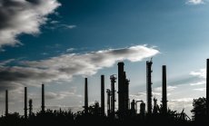 Скокът на цените на петрола разклаща търговията в развиващите се пазари