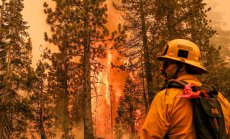 Историята на два пожара: Какво научихме от горещото европейско лято