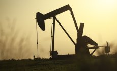 Цените на петрола не са обичайните за навечерието на рецесия 