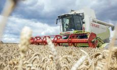 Глобалното производство на пшеница намалява с 3.4%