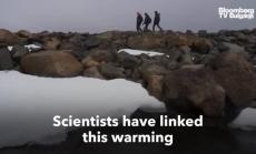 Северният ледовит океан е по-топъл от обичайното