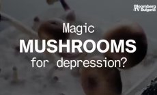  Вълшебните гъби срещу депресия