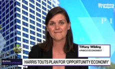 Тифани Уайлдинг: Политиките на Харис са продължение на тези на Байдън