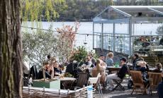 Критики на Тръмп към Швеция възродиха дебата за подхода на страната към пандемията