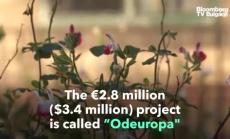 Първият музей на аромата в света