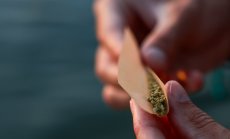 Канабисовата индустрия в САЩ и ефектът ѝ върху природата ще стават все по-големи