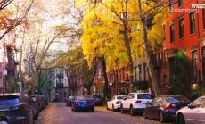 Catch гледа в бъдещето на ресторантьорството със заведение от нов тип - Част 1