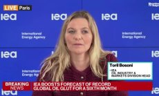 IEA: Текат преговори за рафинериите в България, Румъния