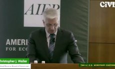 Уолър е склонен да гласува за намаляване на лихвите