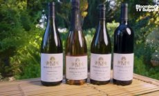 Историята на сестрите Макбрайд, производители на вино, част 1