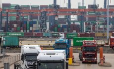 Претъпканите европейски пристанища отчаяно се нуждаят от работници