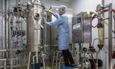 Спекуланти потопиха една от най-горещите акции в Европа