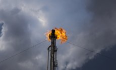 Цената на петрола пада след срещата на върха между САЩ и Китай