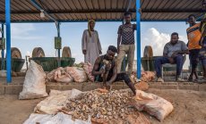 Войната в Судан ще бъде изпитание за новата арабска дипломация