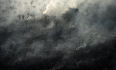 Човечеството е преминало ключовите граници за стабилността на Земята