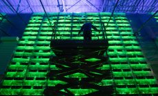 Огромните маржове превръщат енергийни компании в основни миньори на криптовалути