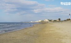 Екологични дъски за сърф, част 1