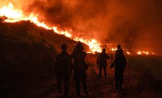 Огромната чуждестранна помощ дава надежда за справяне с пожарa край Атина