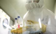 Първата ваксина срещу Covid-19 може да бъде одобрена в ЕС още през 2020 г. 