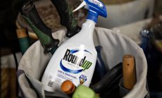 Bayer ще задели още $4,5 млрд. за потенциалните искове около Roundup