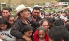 Картелите на авокадо ли убиха пеперудата-монарх, част 7