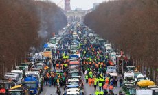 Европейските земеделски субсидии в този си вид са вредни - нужна е цялостна реформа