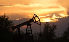 Страховете на ОПЕК от пренасищане с петрол се основават на погрешни прогнози