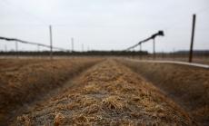 Със 160% се е повишила цената на земеделската земя за последните 6 години