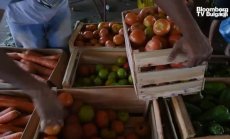 Може ли различна диета да препрограмира вашата ДНК, част 4