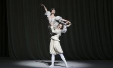 Забраната на Чайковски няма да спечели войната в Украйна