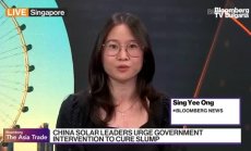 Политически риск заплашва зелените политики