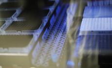 FDA охлади оптимизма на Wall Street за налична ваксина срещу Covid-19 през 2020 г. 