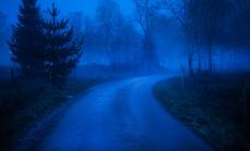 Какви са следващите големи рискове според визионерите на Wall Street?